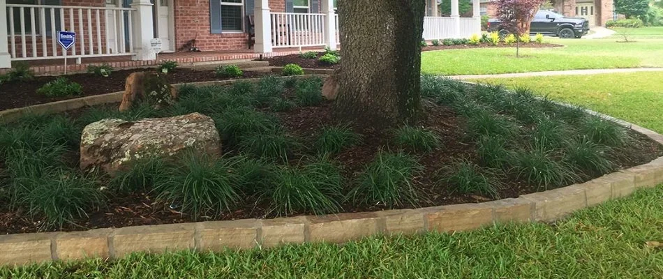 Home in Dallas, TX, with large oak tree in landscape bed.
